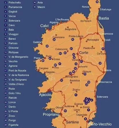 Superbe Pieds Dans L Eau Face A La De Sable Fin Route Des Iles Des Sanguinaires * 아작시오