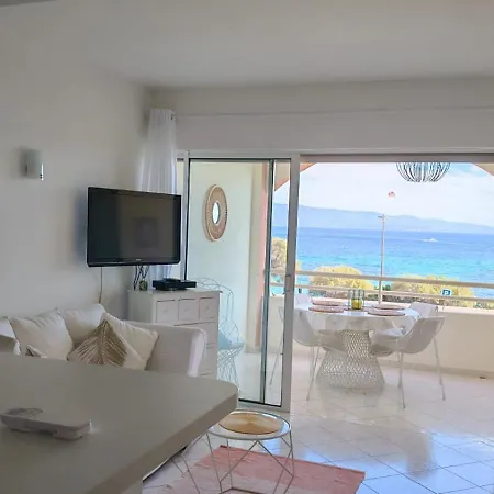 Apartment Superbe Pieds Dans L Eau Face A La De Sable Fin Route Des Iles Des Sanguinaires