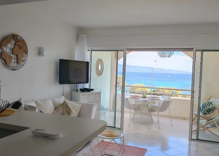 Apartment Superbe Pieds Dans L Eau Face A La De Sable Fin Route Des Iles Des Sanguinaires